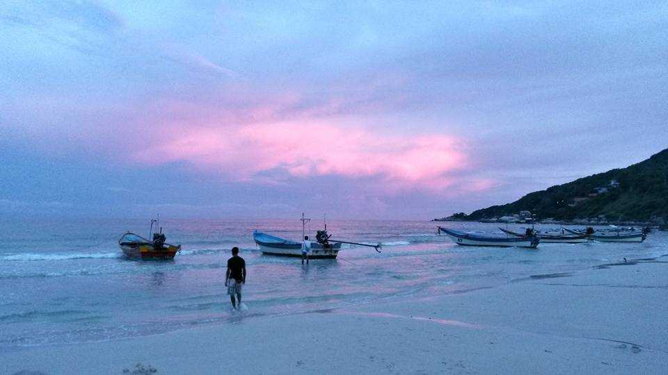 12243234_10156174675995403_4191145991859197830_n